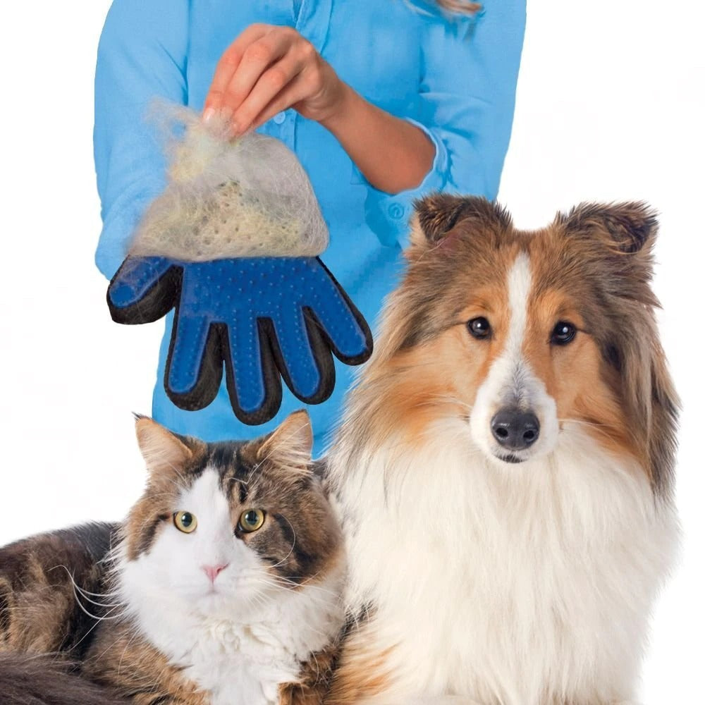 Handschuh Bürste für Katzen und Hunde